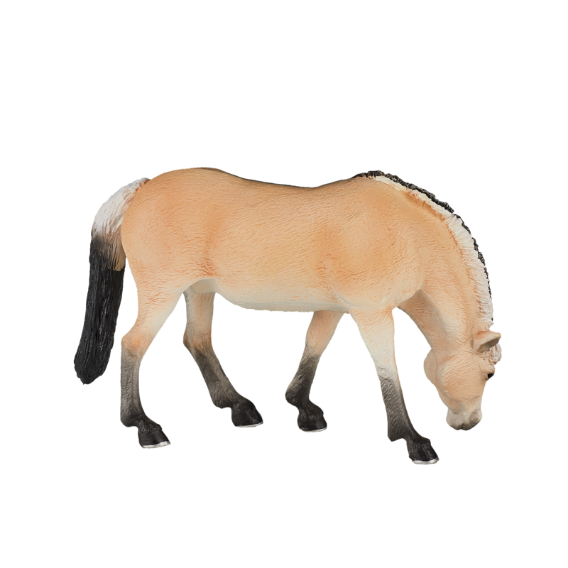 Fjord Mare