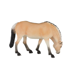 Fjord Mare