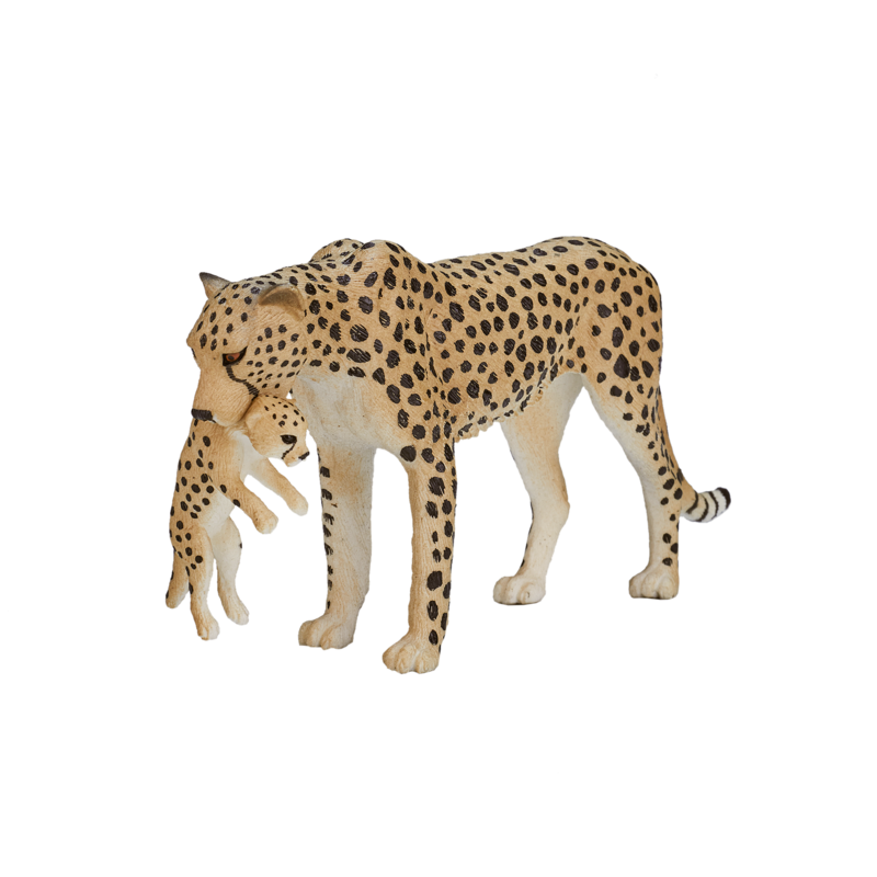 Cheetah Female with