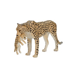 Cheetah Female with