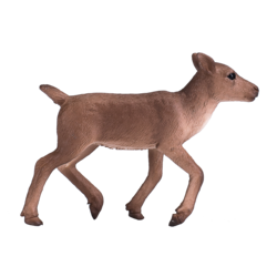 Reindeer Calf NEW for 2019