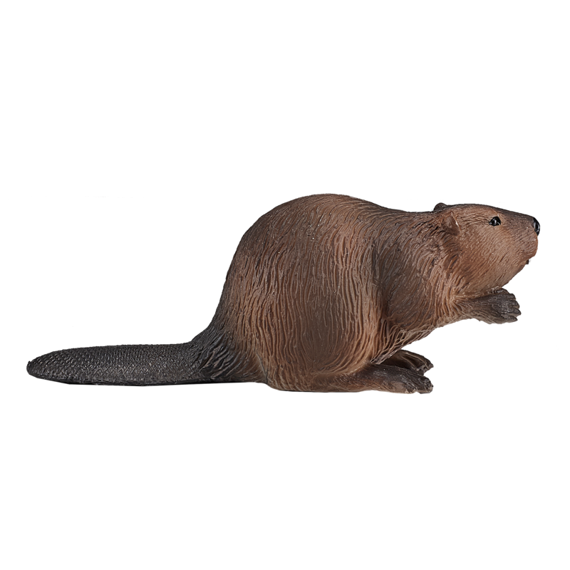 

MOJO Beaver