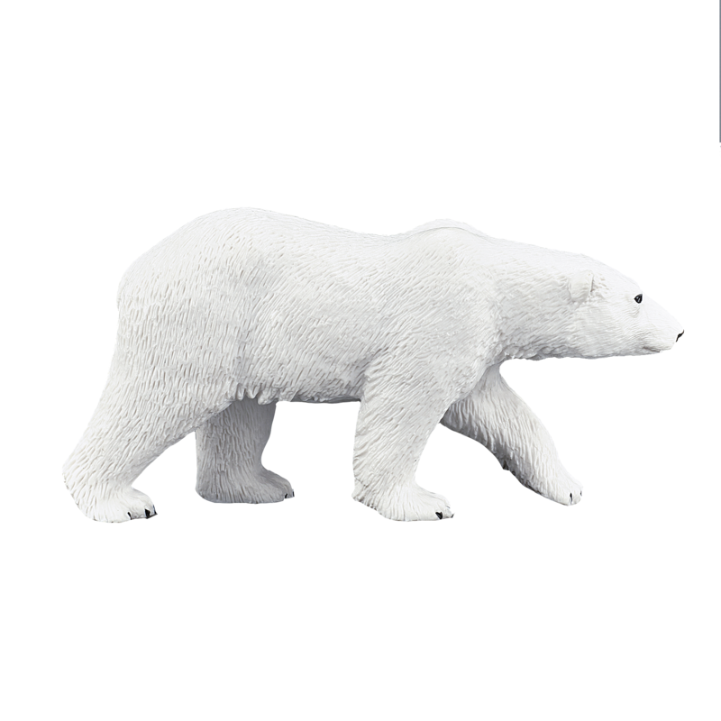 Polar Bear