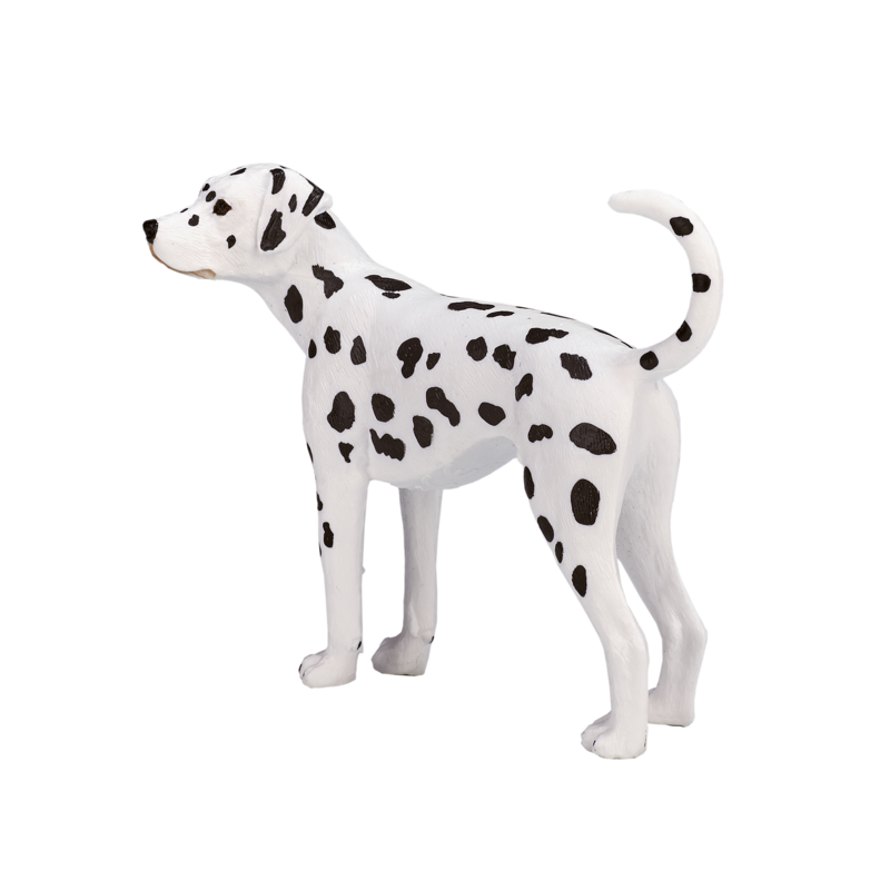 Dalmatian