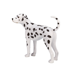 Dalmatian