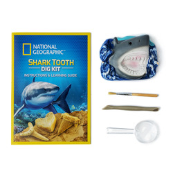 NG SHARK TOOTH DIG KIT