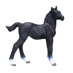 Mojo Hanoverian Foal Black  - M