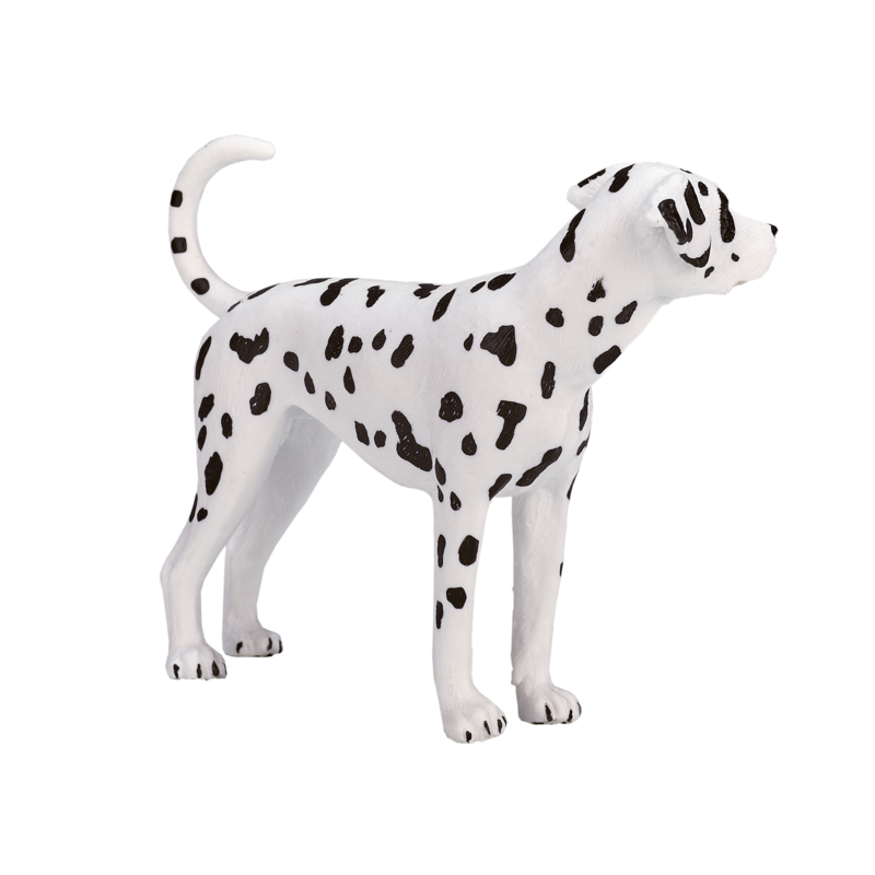 Dalmatian