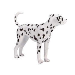 Dalmatian