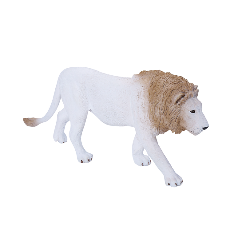 White Male Lion