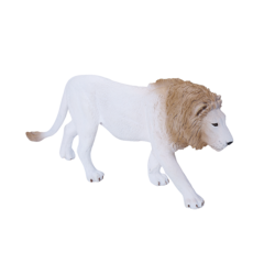 White Male Lion