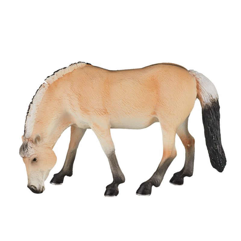 Fjord Mare