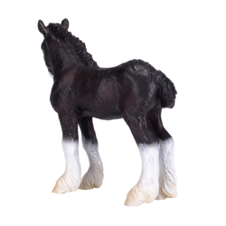 Shire Foal