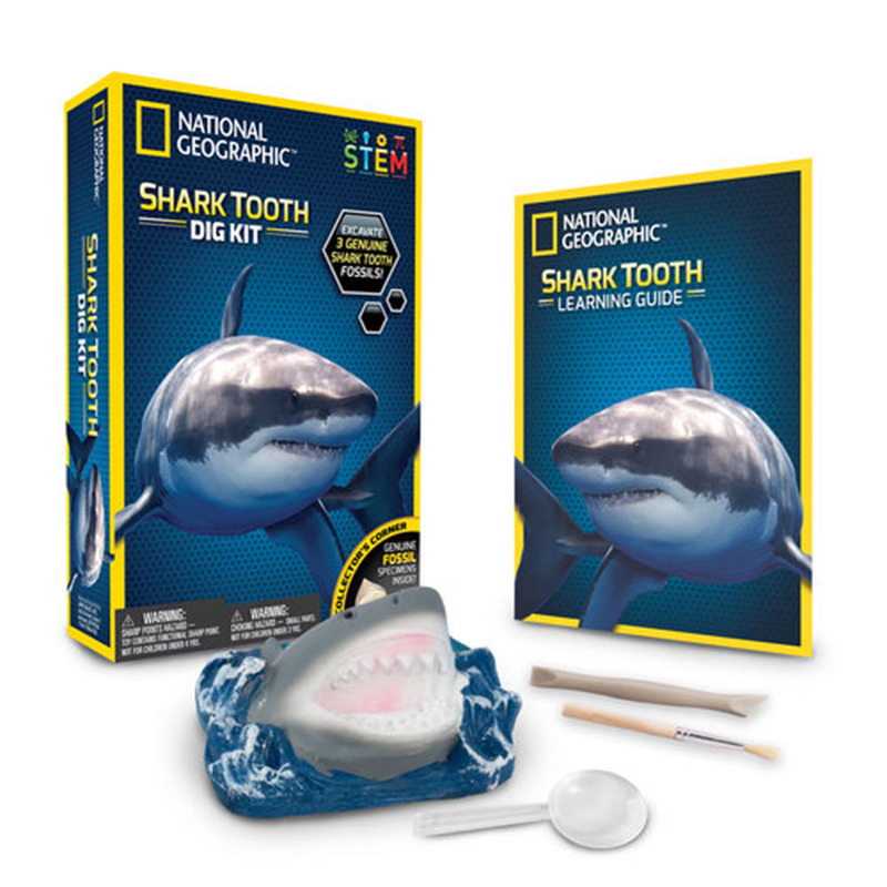 

25th Century Games NG SHARK TEETH DIG KIT