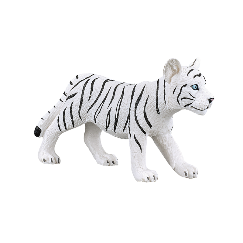 

MOJO White Tiger cub standing