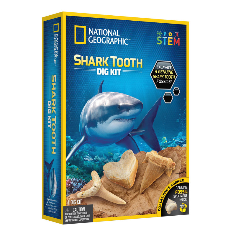 NG SHARK TOOTH DIG KIT