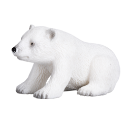 Polar bear cub Sitting