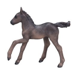 Arabian Foal Black