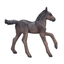 Arabian Foal Black