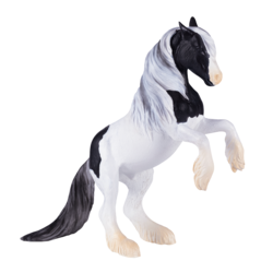 Gypsy Vanner Stallion