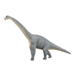 Brachiosaurus