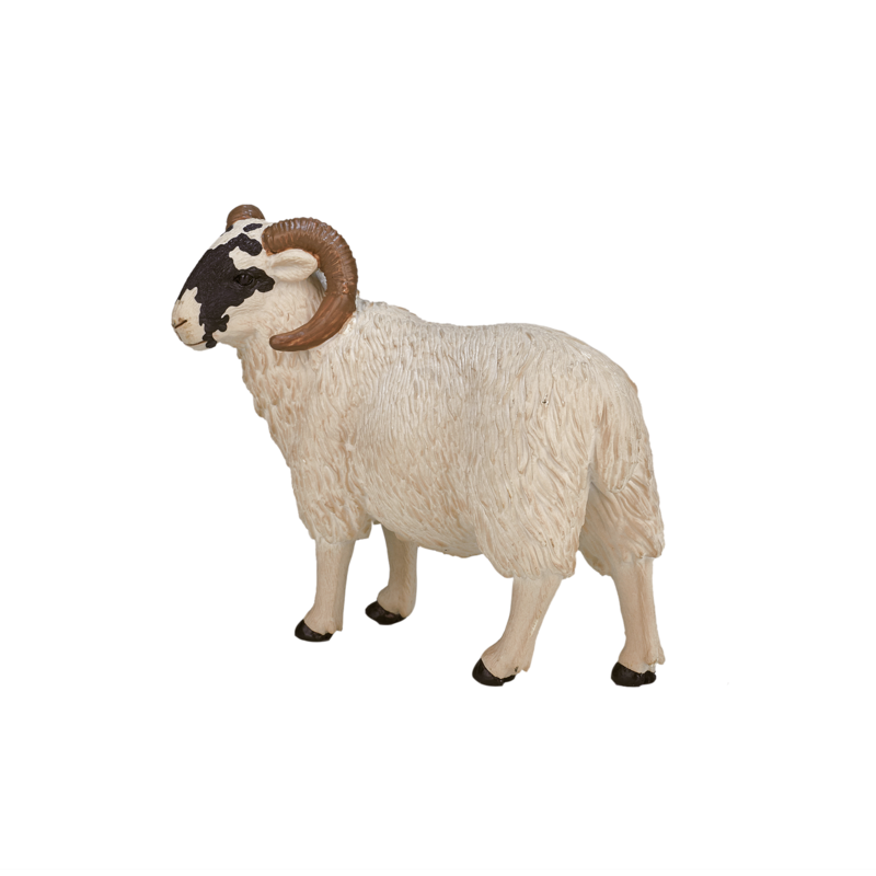 Black Faced Sheep (Ram)