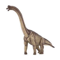 Deluxe Brachiosaurus