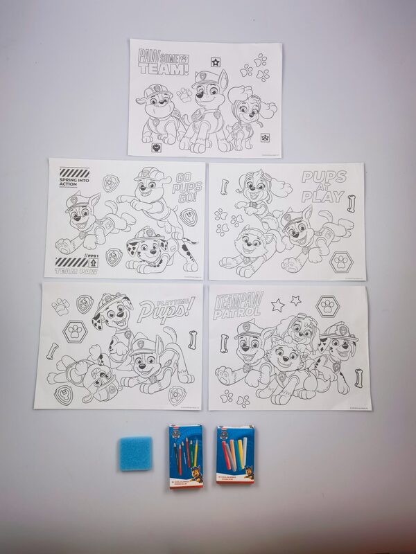 Paw Patrol Art Studio