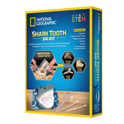 NG SHARK TOOTH DIG KIT