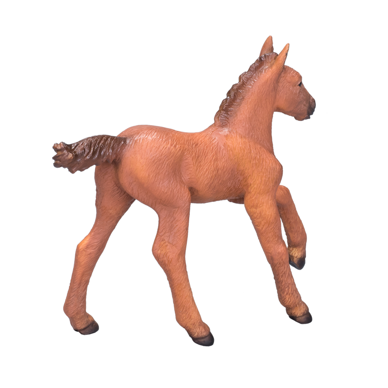 Arabian Foal Chestnut