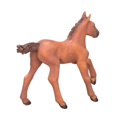 Arabian Foal Chestnut