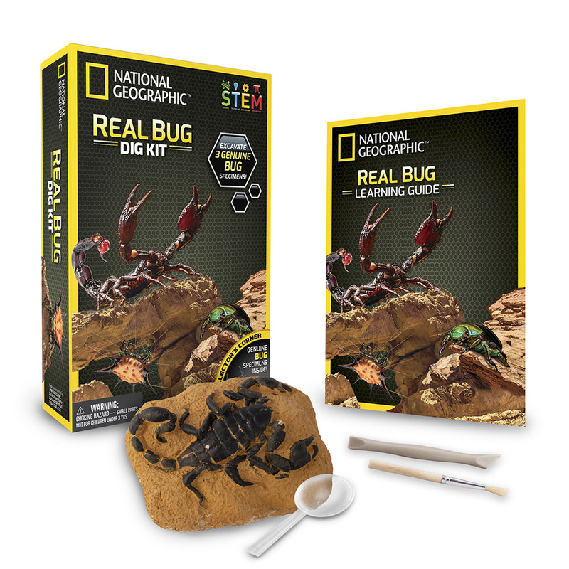 

25th Century Games NG BUG DIG KIT