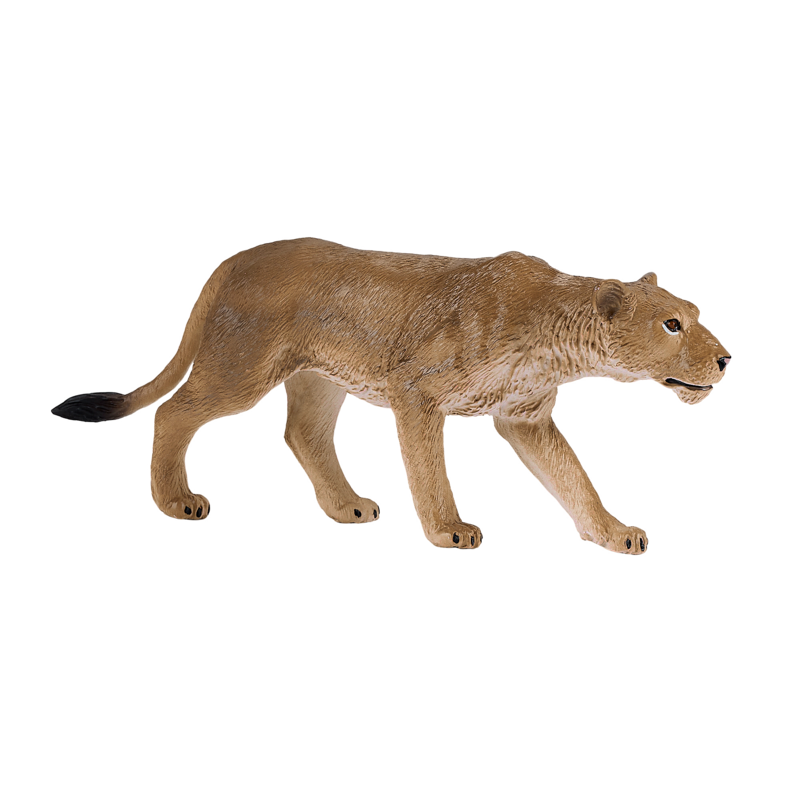 Mojo African Lioness - L