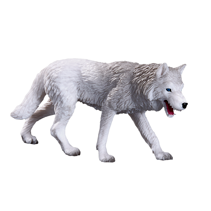 Arctic Wolf