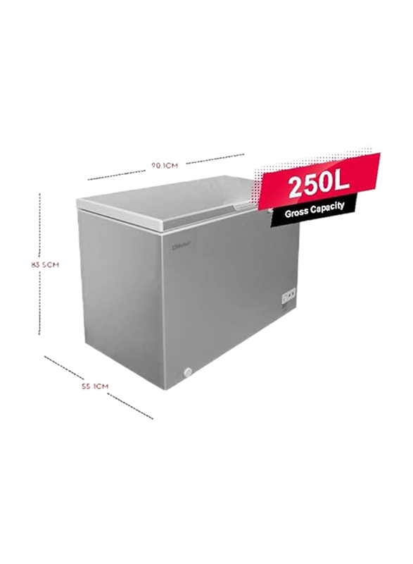 Nobel R600A Single Door Chest Freezer Recessed Handle With Lamp Gas Outside Condensor, 250L, NCF300RH, Silver