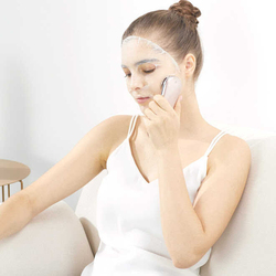 WellSkin Ionic Facial Massager