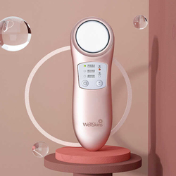 WellSkin Ionic Facial Massager