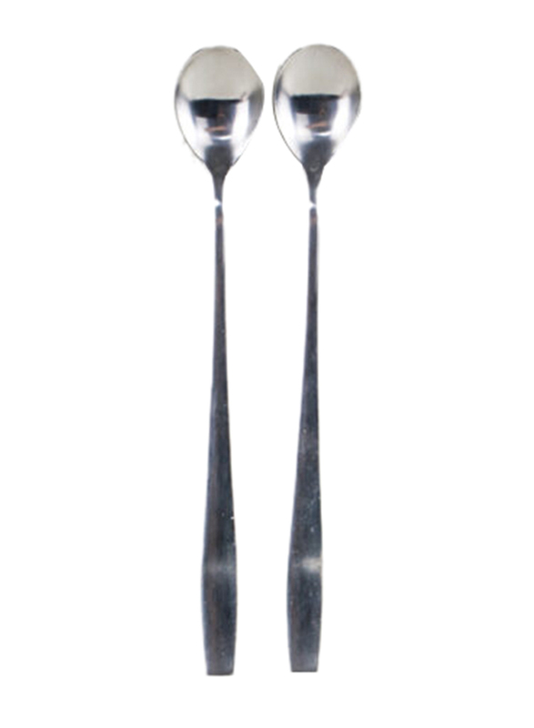 Trishi 2-Piece Latte Macchiato Spoon, 19.5 x 2.5, Silver