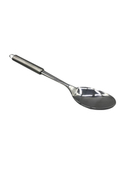 Trishi Large Stainless Steel Serving Spoon, Steel