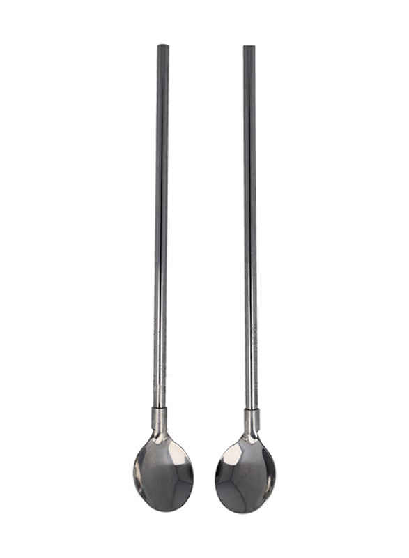 Trishi 2-Piece Spoon with Straw, 21 x 3 x 0.6, Silver