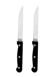 Trishi 2-Piece Steak Knife Set, 21.5 x 2cm, Silver/Black
