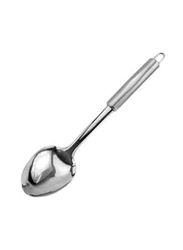 Trishi Large Stainless Steel Serving Spoon, Steel