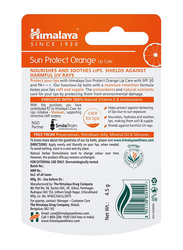Himalaya Herbals Sun Protect Orange Lip Balm, 4.5gm