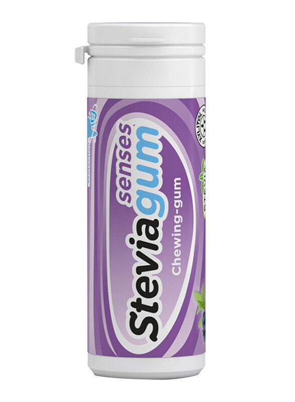 

Ginjer Senses Blueberry Steviagum, 30g