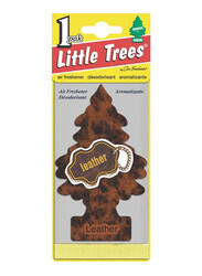 Little Trees Leather Fragrance Air Freshener, Mtr0016, brown