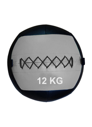 Prosportsae Wall Ball for Crossfit Exercises, 12KG, Light Grey