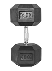1441 Fitness Solid Cast Iron Core Rubber Coated Hex Dumbbell, 40KG, Black/Silver