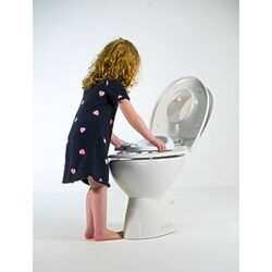 Diaper Champ Potty Training Seat - Grey