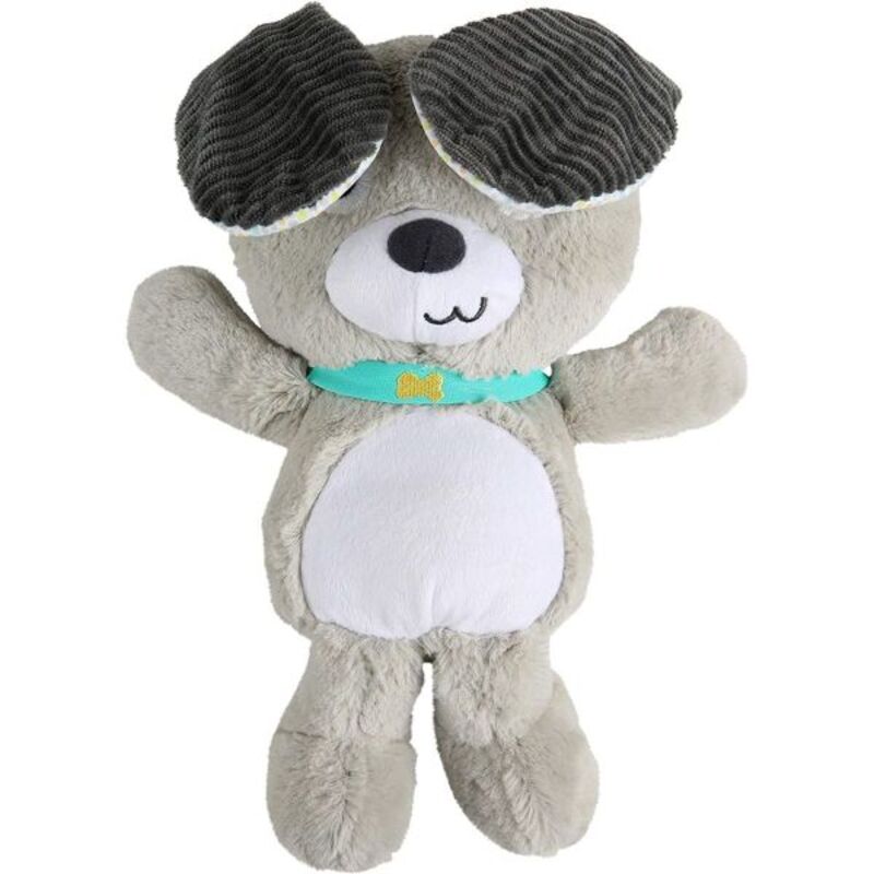 Bright Starts Belly Laughs Puppy Plush Toy