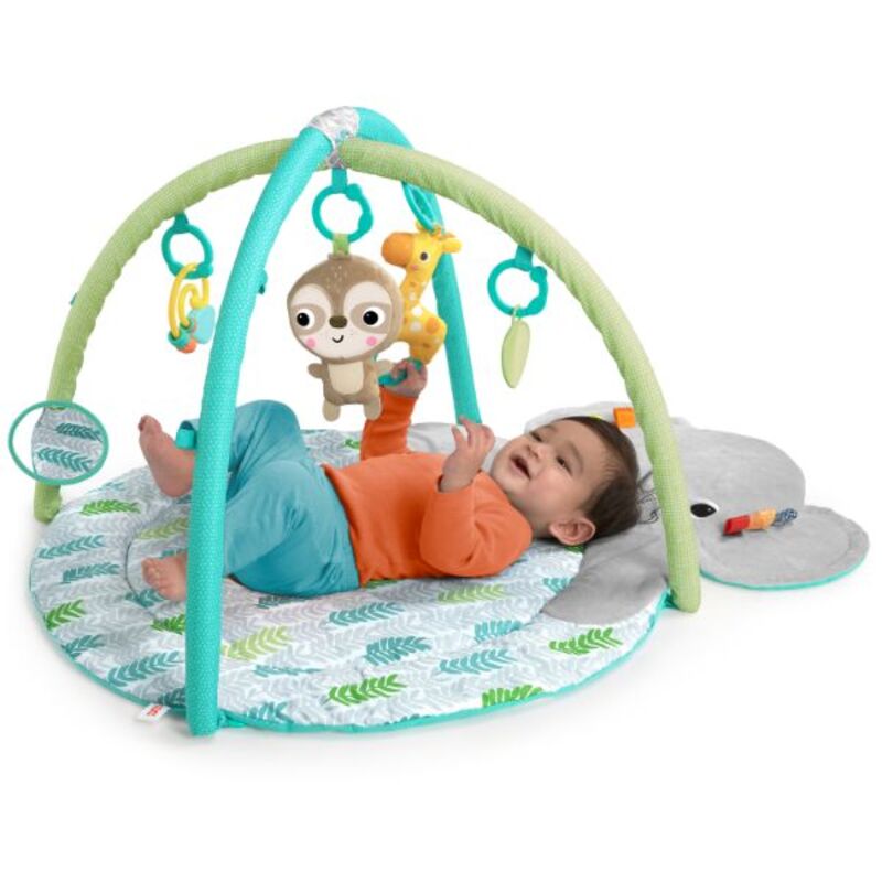 Bright Starts Hug n Cuddle Activity Gym, Grey